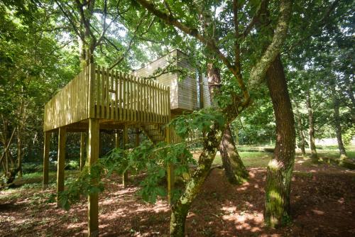 a wooden tree house in the middle of a forest at Cabanas de Apriscos in A Coruña