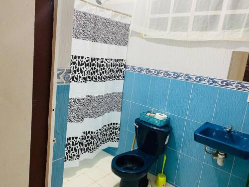 uma casa de banho com um WC azul e um lavatório azul em Casa equipada en puerto escondido em Puerto Escondido