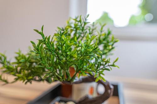Zahrada ubytování Apartment Wesseling