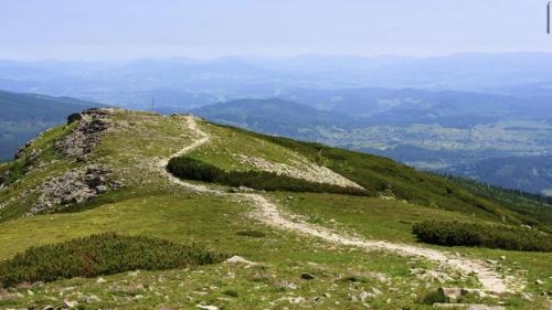un camino al costado de una montaña en Nowa Jutrzenka, en Stryszawa