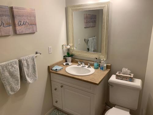 uma casa de banho com um lavatório, um WC e um espelho. em Bayview B&B em Cobble Hill