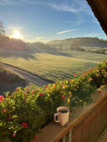 uma chávena de café sentada no peitoril da janela com flores em Ferienwohnung Sonnenstrahl em Friesenried