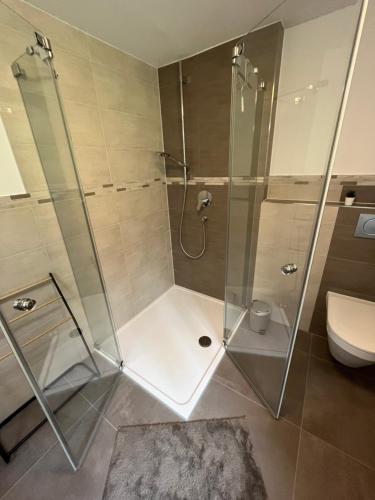 uma casa de banho com uma cabina de duche em vidro e um WC. em Ferienwohnung Sonnenstrahl em Friesenried