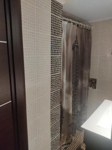a shower with a shower curtain in a bathroom at Elsa's House in Arta