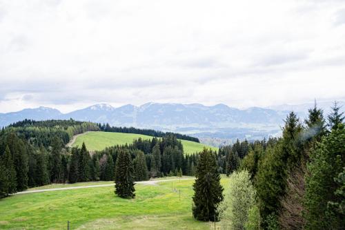 a green field with trees and mountains in the background at Berghotel Sonnenklause in Sonthofen