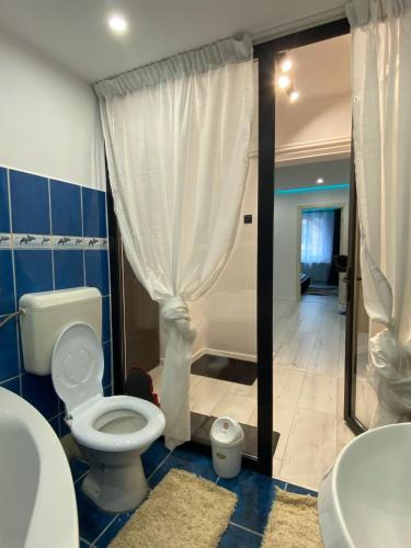 a bathroom with a toilet and a shower and a sink at Rozalia Apartman in Odorheiu Secuiesc