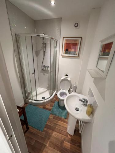 a bathroom with a shower and a sink and a toilet at A spacious flat in Cardiff