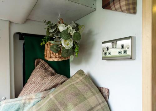 un jarrón con una planta en una pared junto a un interruptor en Annie The Ambulance (Drive away campervan), en Skewen
