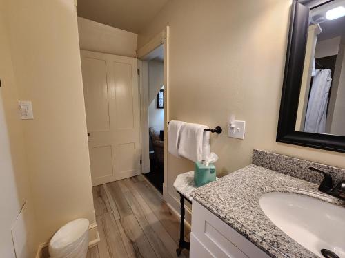 a bathroom with a sink and a mirror at The Sayre Mansion in Bethlehem