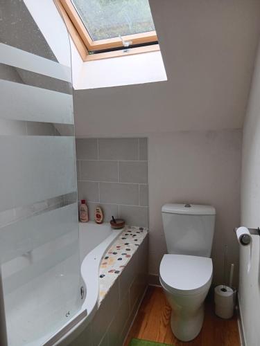 a bathroom with a toilet and a bath tub and a skylight at Penstone Grange in Campan