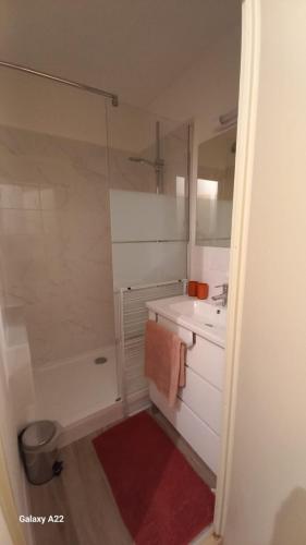 une salle de bain blanche avec une douche et un lavabo dans l'établissement Appartement proche mer avec jardin, à Saint-Cyprien