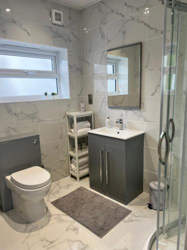 a bathroom with a toilet and a sink and a shower at The Wedge in Southend-on-Sea