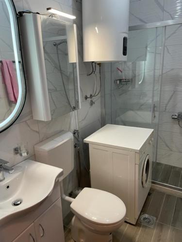 y baño con aseo, ducha y lavamanos. en Palma, Baosici, en Ivovići