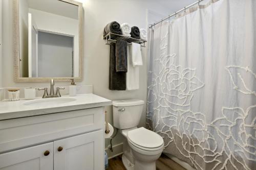 a bathroom with a toilet and a shower curtain at Vacation Rental Old Town Bay St Louis Unit B in Bay Saint Louis