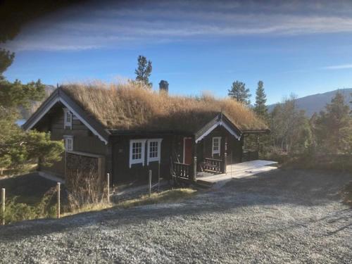 una pequeña casa con techo de césped en una carretera en Spurveslottet - cabin by the amazing Trollheimen 