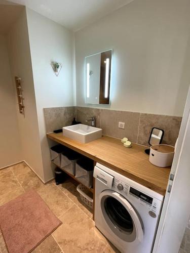 une salle de bain avec une machine à laver et un lavabo dans l'établissement Chez Marien, à Malaucène