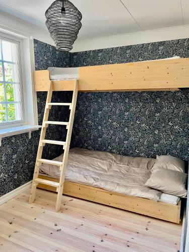 sypialnia z łóżkiem piętrowym i drabiną w obiekcie Villa Rye Street Kolmården w mieście Kolmården