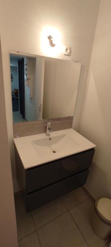 La salle de bains est pourvue d'un lavabo et d'un miroir. dans l'établissement Appartement hyper centre Mayenne, à Mayenne