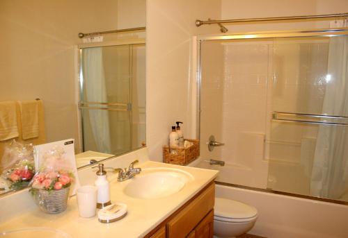 a bathroom with a sink and a shower and a toilet at Eagle View Haven in Prescott