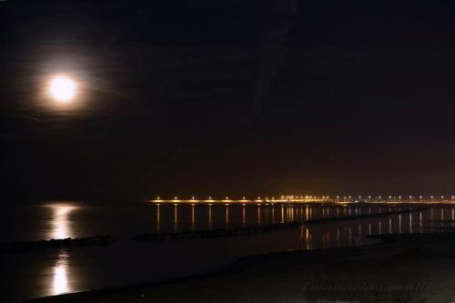 a full moon rising over the ocean at night at B&B Indipendenza in Civitanova Marche