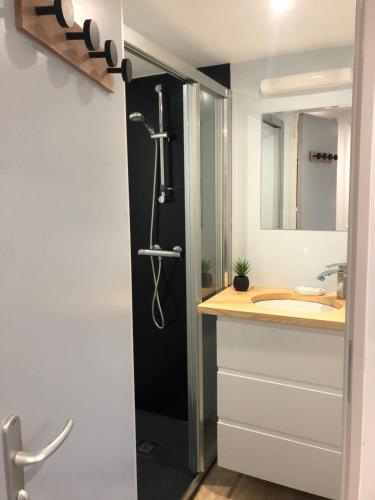 een badkamer met een douche en een wastafel bij Gite La Barthe Basse in Le Pont-de-Montvert
