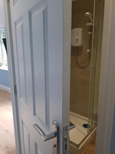a bathroom door with a glass shower stall at Cosy Studio Luton in Luton