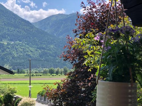 a garden with flowers and a view of mountains at Ferienhaus Mautzfried in Reisach