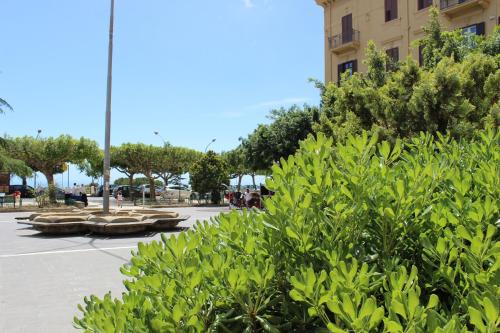 Κήπος έξω από το Hotel Del Viale