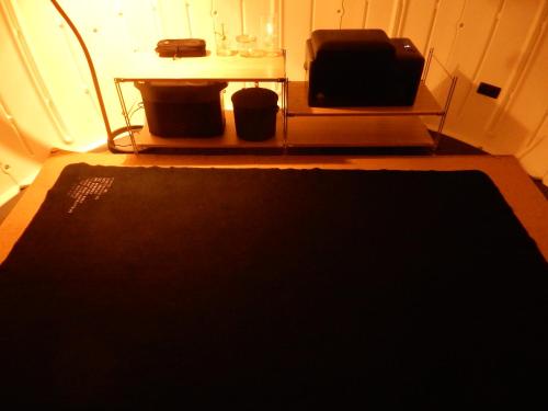 - un tapis noir dans la chambre dans l'établissement Redoor Sapporo, à Sapporo