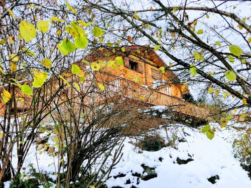Photo de la galerie de l'établissement Fenêtre sur les crêtes Vosgiennes, à La Bresse
