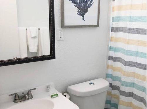 a bathroom with a toilet and a sink and a mirror at Modern Apartment - 1 of 4 in Punta Gorda