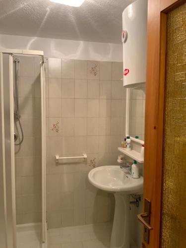 ein Bad mit einem Waschbecken und einer Dusche in der Unterkunft La Meison in Valgrisenche