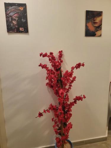 a vase filled with red flowers in front of a wall at Tanta طنطا Families Only in Tanta