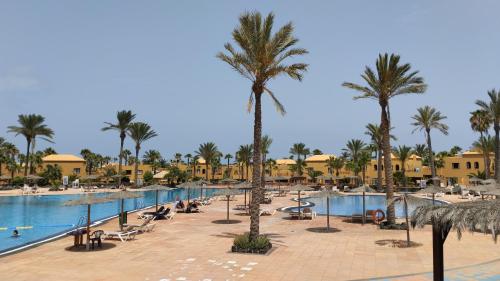a resort swimming pool with palm trees and chairs at Casa Mona in Corralejo