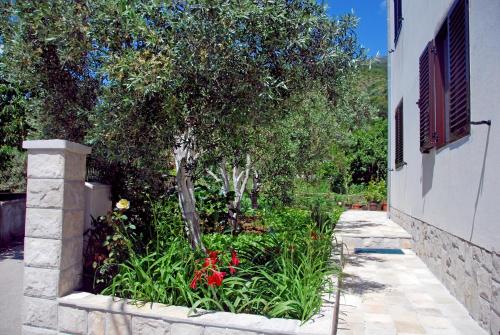 Gallery image of Apartments Iva in Tivat