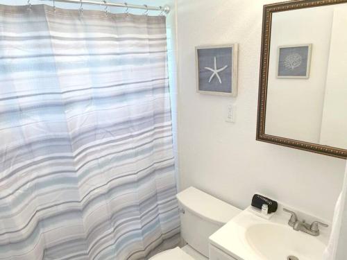 a bathroom with a shower curtain and a toilet and a sink at Modern Apartment - 4 of 4 in Punta Gorda
