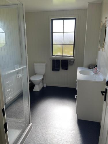 a bathroom with a toilet and a sink and a shower at The Barn in Mosgiel