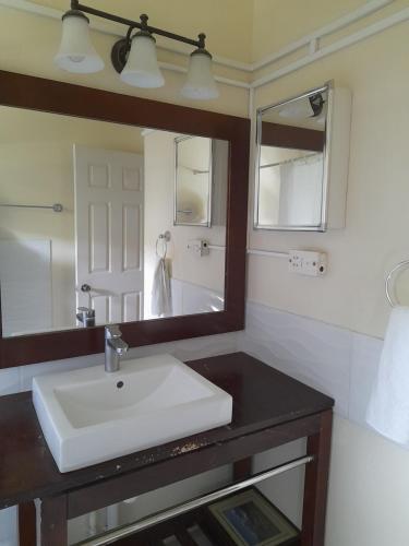 a bathroom with a sink and a mirror at Alexander's Apartment Carriacou in Carriacou