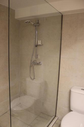 a shower stall in a bathroom with a toilet at Apartment Sneshka in Ohrid