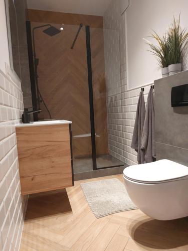 a bathroom with a shower with a toilet and a sink at Apartament w Gdańsku in Gdańsk