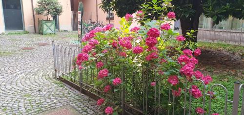 Central Loft Carina ideale per visitare il Centro di Torino photo 11