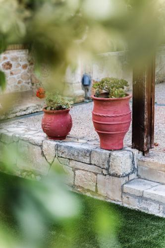 Zahrada ubytování Andromache Villas