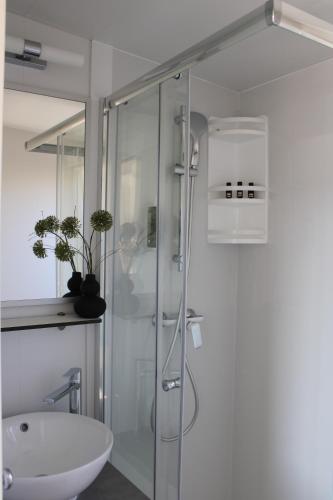 W łazience znajduje się szklana kabina prysznicowa i umywalka. w obiekcie Sha-Shaaa Luxury Mobile Home - Terra Park SpiritoS w mieście Kolan