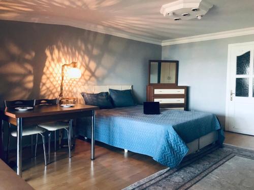 1 dormitorio con cama, escritorio y mesa en Cozy Room in Istanbul's Central Uskudar en Estambul