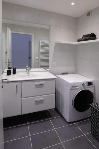 une salle de bain avec une machine à laver et un lavabo dans l'établissement Appartement centre ville Rixheim, à Rixheim