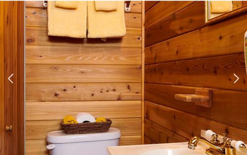 ein Bad mit einem WC, einem Waschbecken und Handtüchern in der Unterkunft Klondike Kate's Cabins in Dawson City
