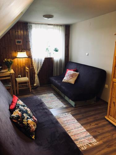 uma sala de estar com uma cama e uma janela em dom pod jaworami em Sosnówka