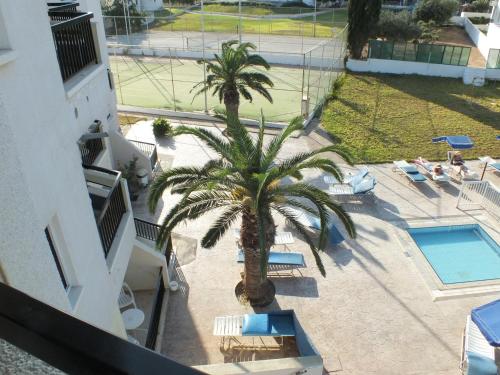 an overhead view of a palm tree next to a pool at Livas Hotel Apartments in Protaras