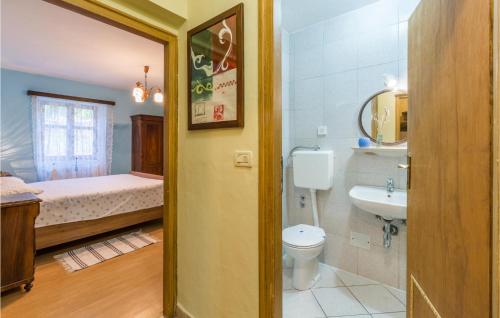 a bathroom with a toilet and a sink and a bed at Pet Friendly Home In Gora Glusic With House Sea View in Stanišovi