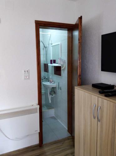 een badkamer met een douche en een toilet en een televisie bij Petkovic Guesthouse in Žabljak